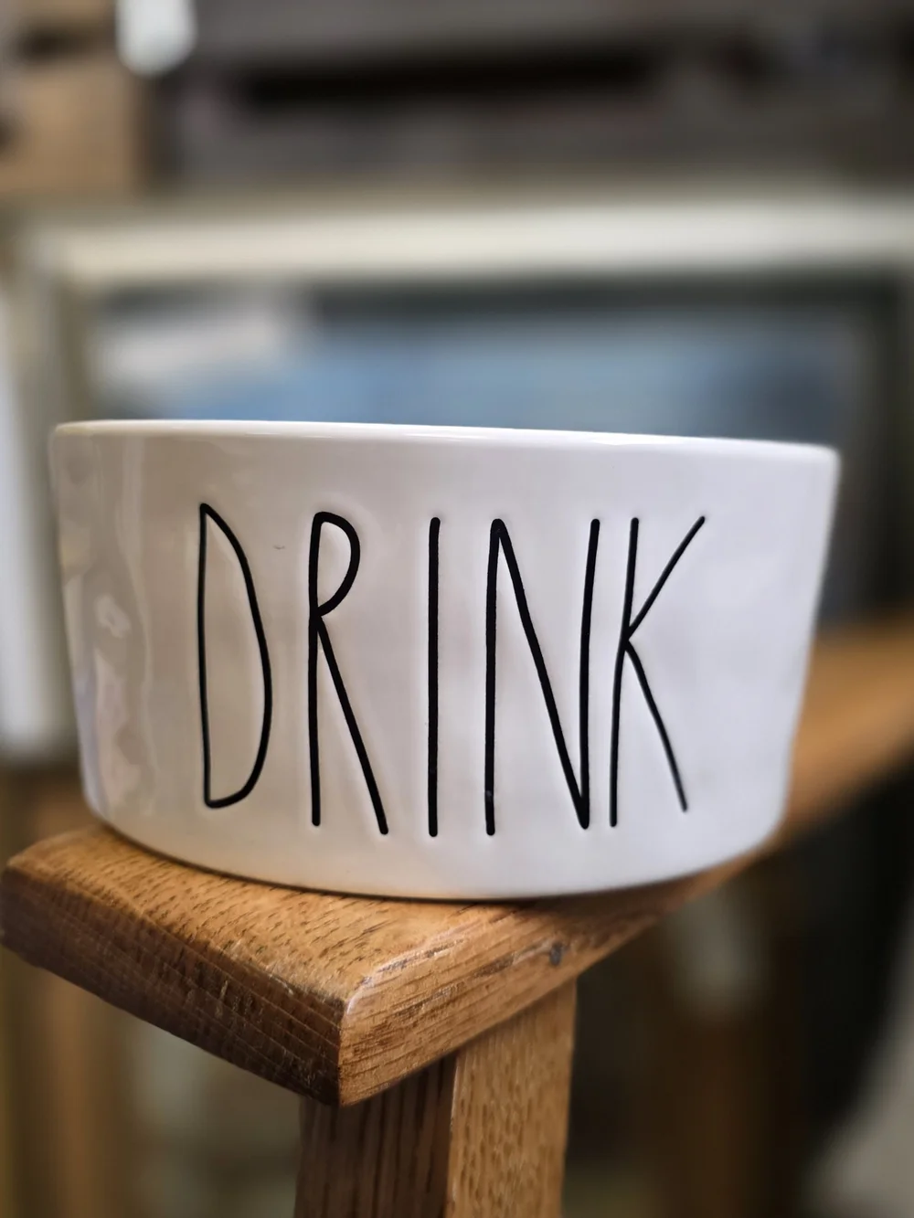 Rae Dunn DRINK Ceramic Pet Bowl 6